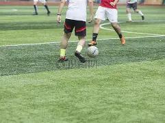 湛江热点队,逆风翻盘,佛山,天博体育平台,天博体育官方网站,天博体育登录入口,天博体育app下载