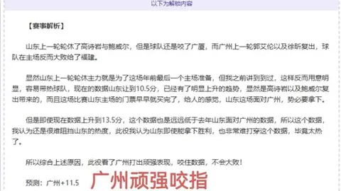 詹姆斯失误引争议，东契奇是否背锅？媒体观点何在？